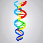 Wie wir einem Kind die DNA einfach erklären